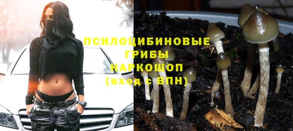 ГАЛЛЮЦИНОГЕННЫЕ ГРИБЫ Магадан