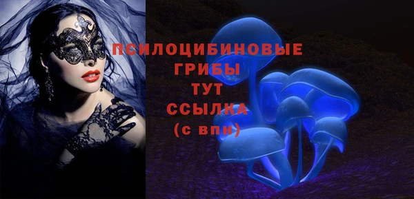 не бодяженный Магас