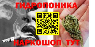 дмт Волгодонск