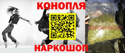 прущие грибы Гусь-Хрустальный