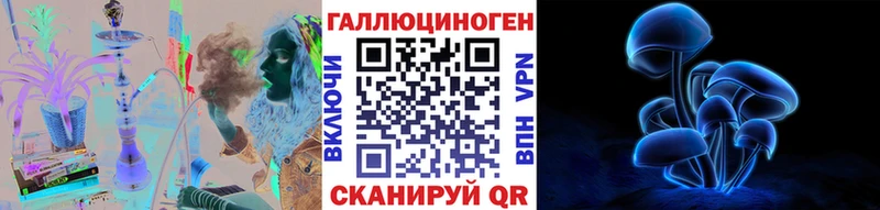 Галлюциногенные грибы Psilocybe как найти Ефремов