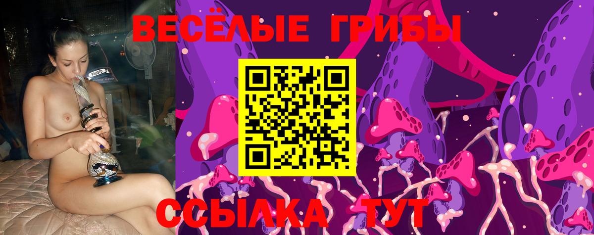 Галлюциногенные грибы Psilocybine cubensis Ефремов